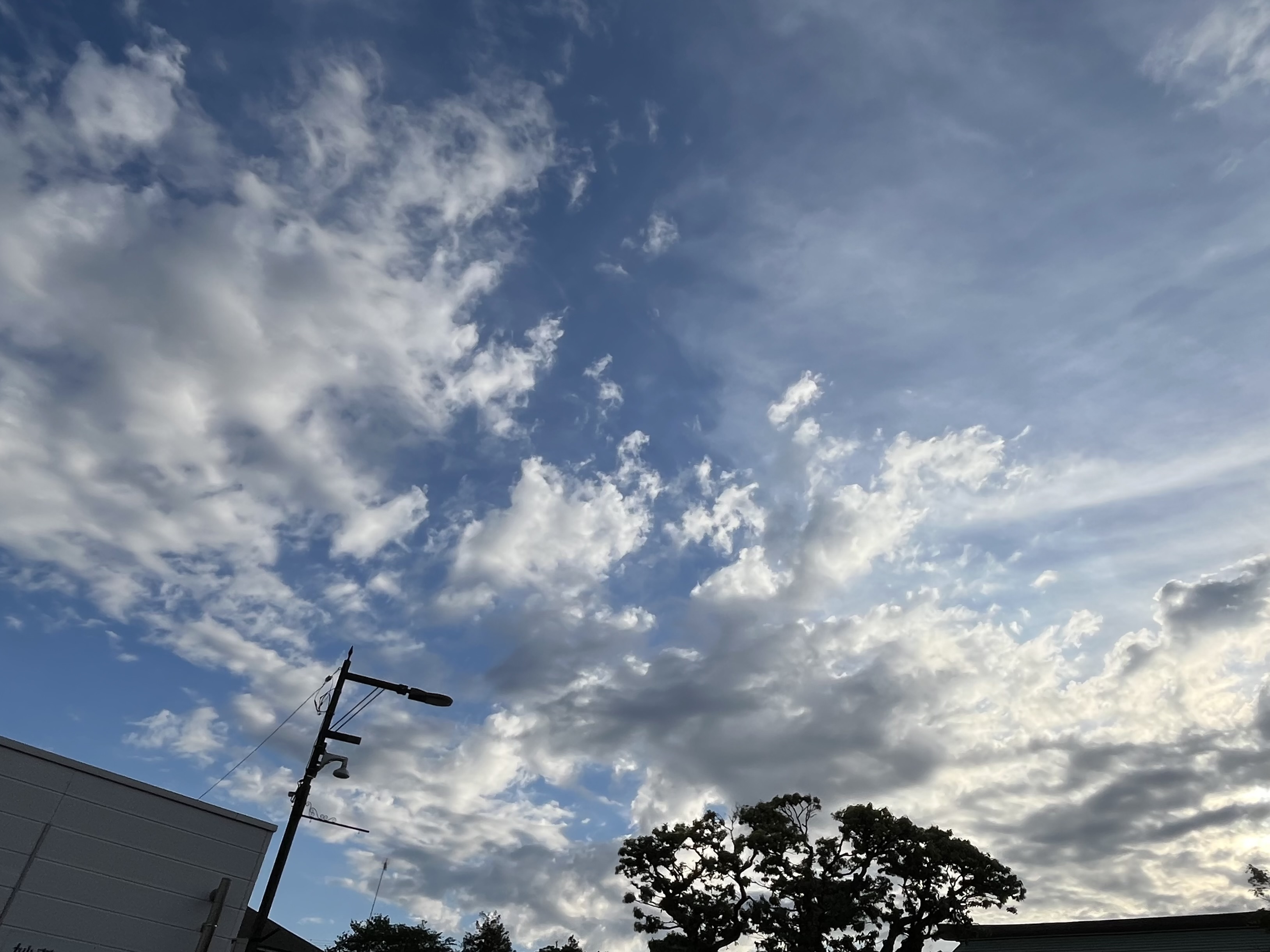 IMG_3150.jpeg