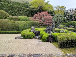 PXL_20260409_060359462_2.jpg