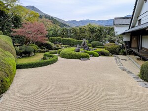 PXL_20260409_060104596_2.jpg