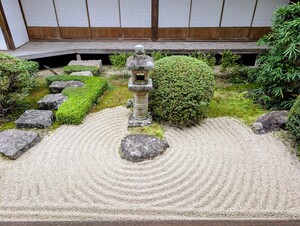 PXL_20260409_060023285_2.jpg