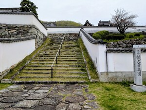 PXL_20260409_055609844_2.jpg