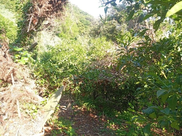 IMG_20260505_072813998_MFNR.jpg