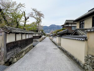 PXL_20260409_054338168_2.jpg