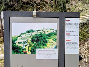 PXL_20260409_042624038_2.jpg