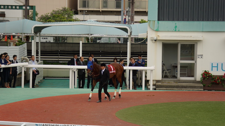 DSC00032.JPG