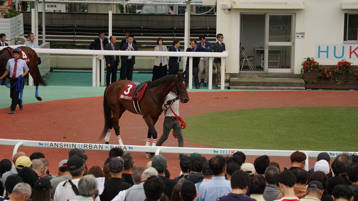 DSC00064.JPG