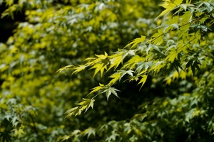 SDIM0774_edited.jpeg