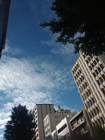 IMG_20260507_164057917.jpg