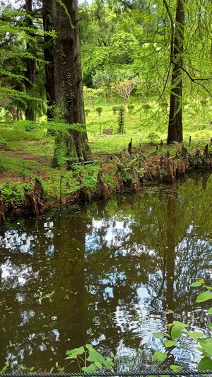 IMG_20260504_095523611_HDR.jpg
