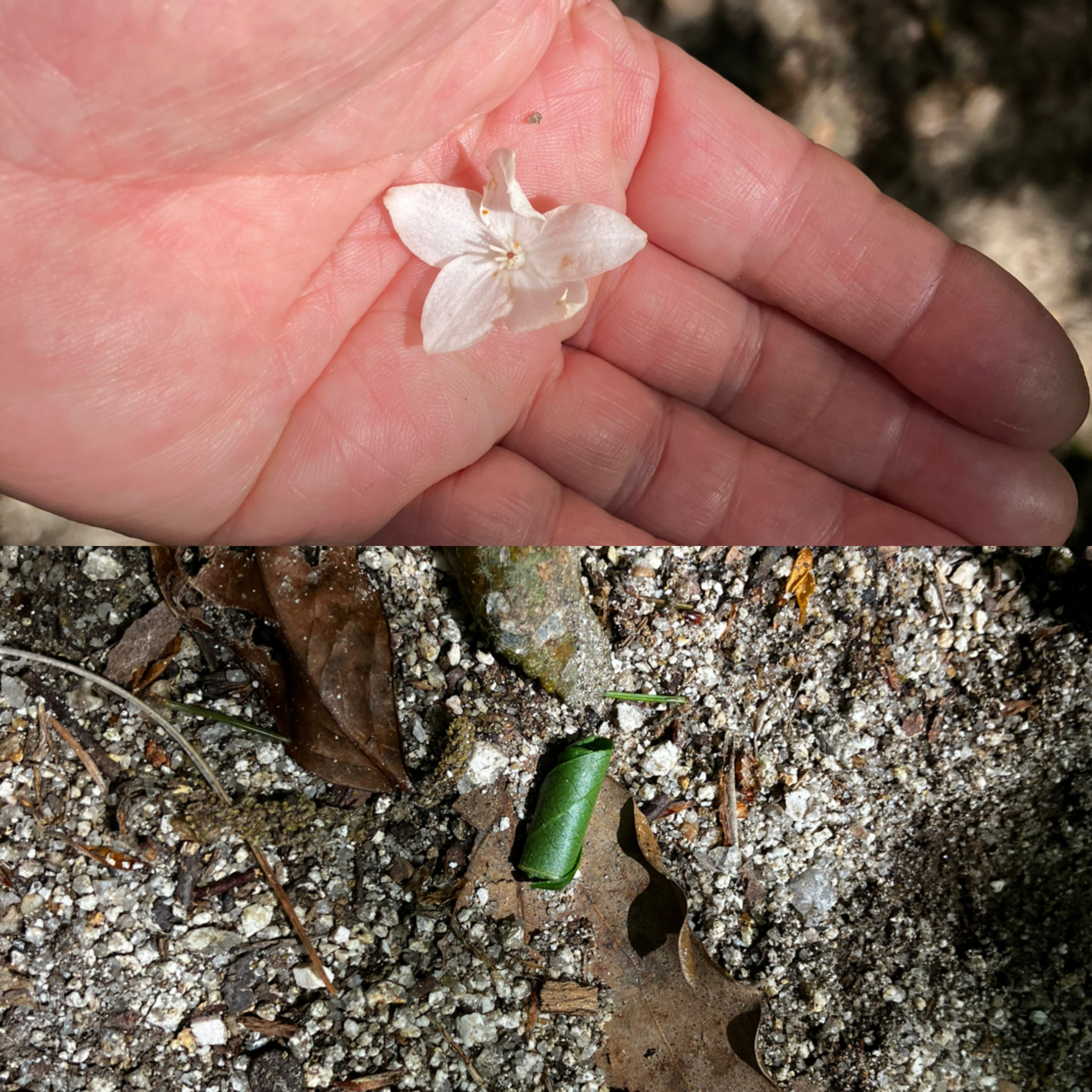 IMG_7659.jpeg