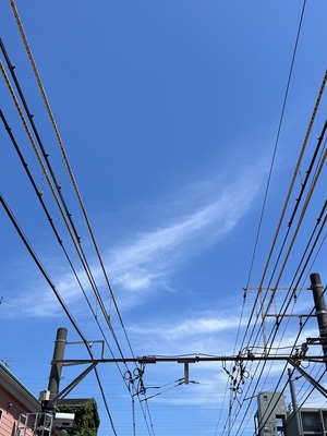IMG_3153.jpeg