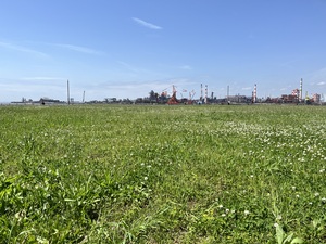 IMG_0051.jpeg