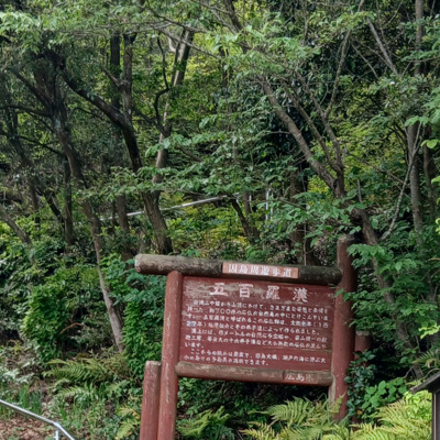 スクリーンショット_2026-05-08_105346.png