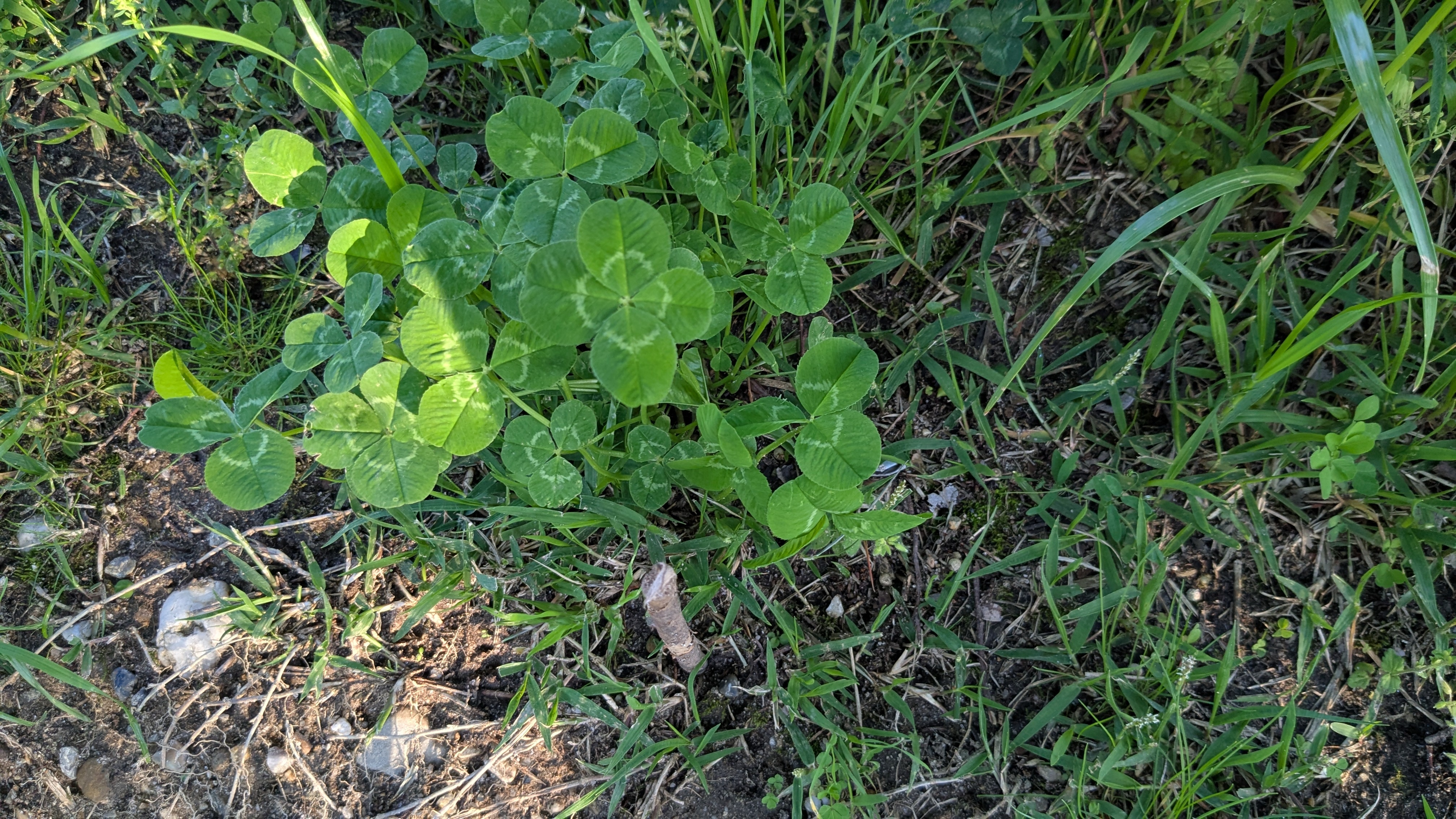 PXL_20260505_084345775.jpg