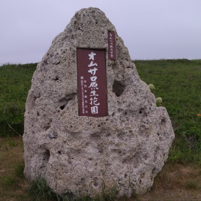 スクリーンショット_2026-05-08_160049.png