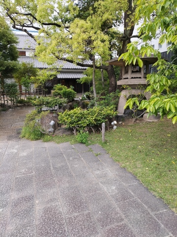 IMG20260504171856.jpg