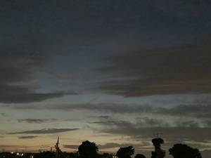 IMG_0321.jpeg