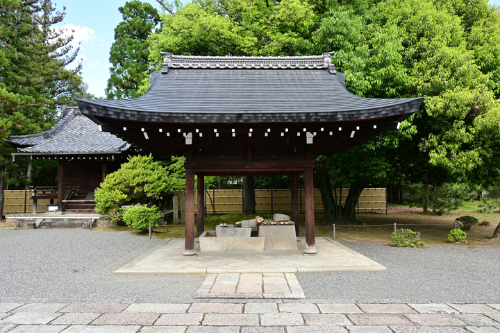 DSC_0014.jpg