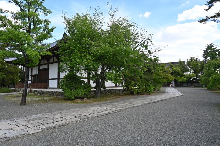 DSC_0021.jpg