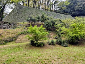 PXL_20260410_004405999_2.jpg