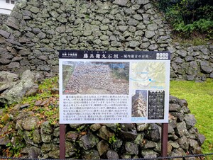 PXL_20260410_004016020_2.jpg