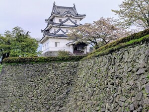 PXL_20260410_003246548_2.jpg