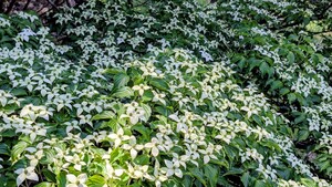 PXL_20260509_000552670_2.jpg