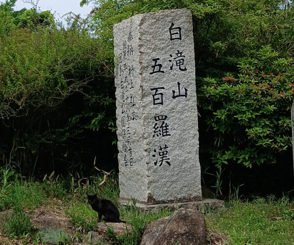 スクリーンショット_2026-05-08_105024.png