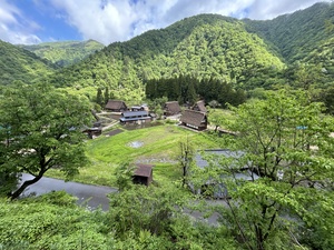 IMG_9794.JPG