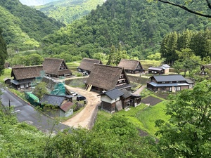 IMG_9796.JPG