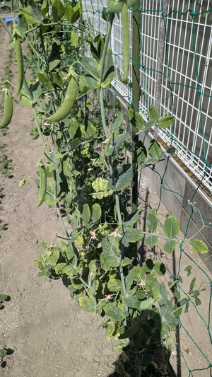 PXL_20260510_010209249.jpg