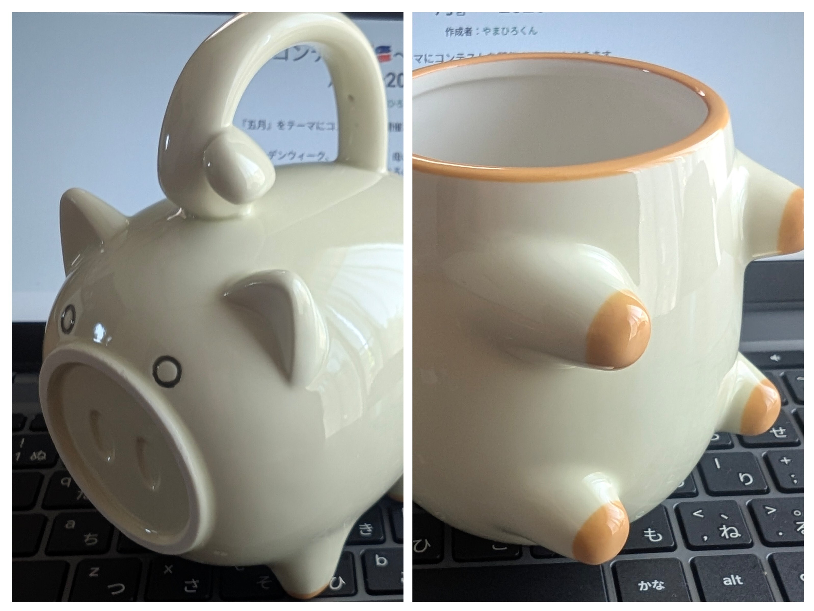 20260510_142147-COLLAGE.jpg