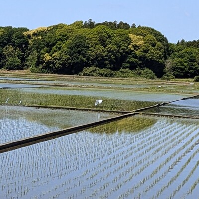 PXL_20260510_021413691_2.jpg