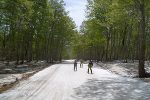 P1080336.JPG