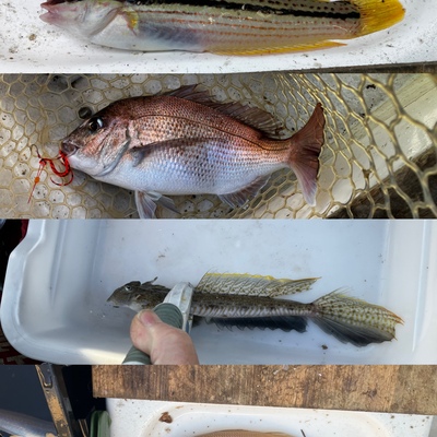 IMG_7709.jpeg