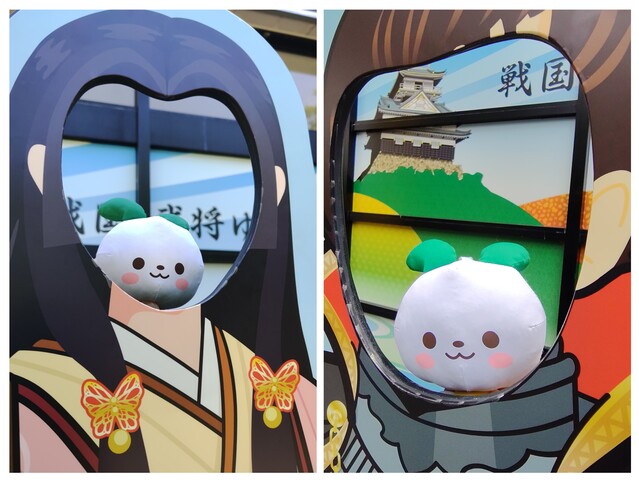 20260511_175928-COLLAGE.jpg