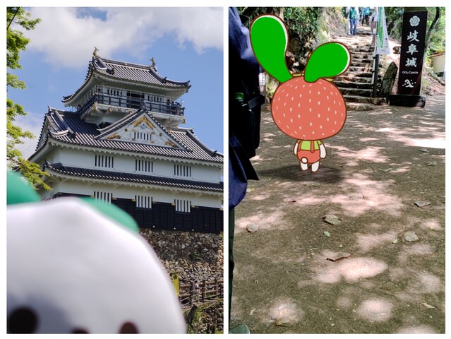 20260511_180232-COLLAGE.jpg