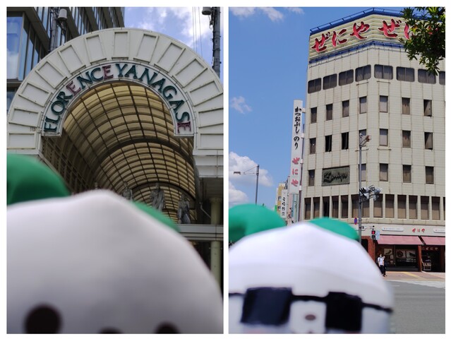 20260511_180518-COLLAGE.jpg