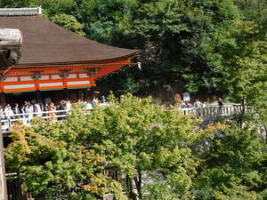 DSCN0196.JPG
