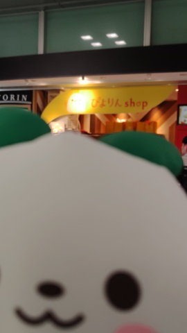 260511160731909.JPG