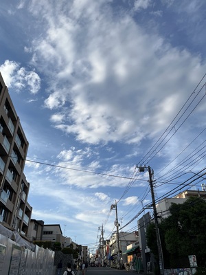 IMG_3194.jpeg