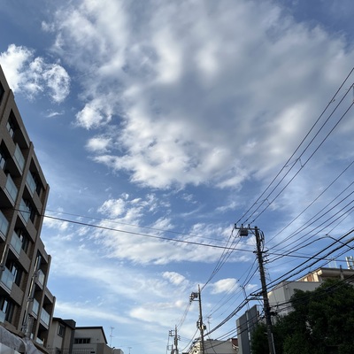 IMG_3194.jpeg
