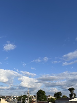 IMG_3195.jpeg
