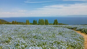 IMG_20260509_134236725_HDR_4.jpg