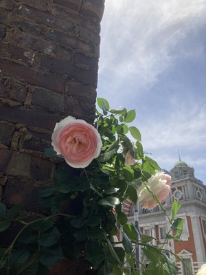 IMG_4182.jpeg