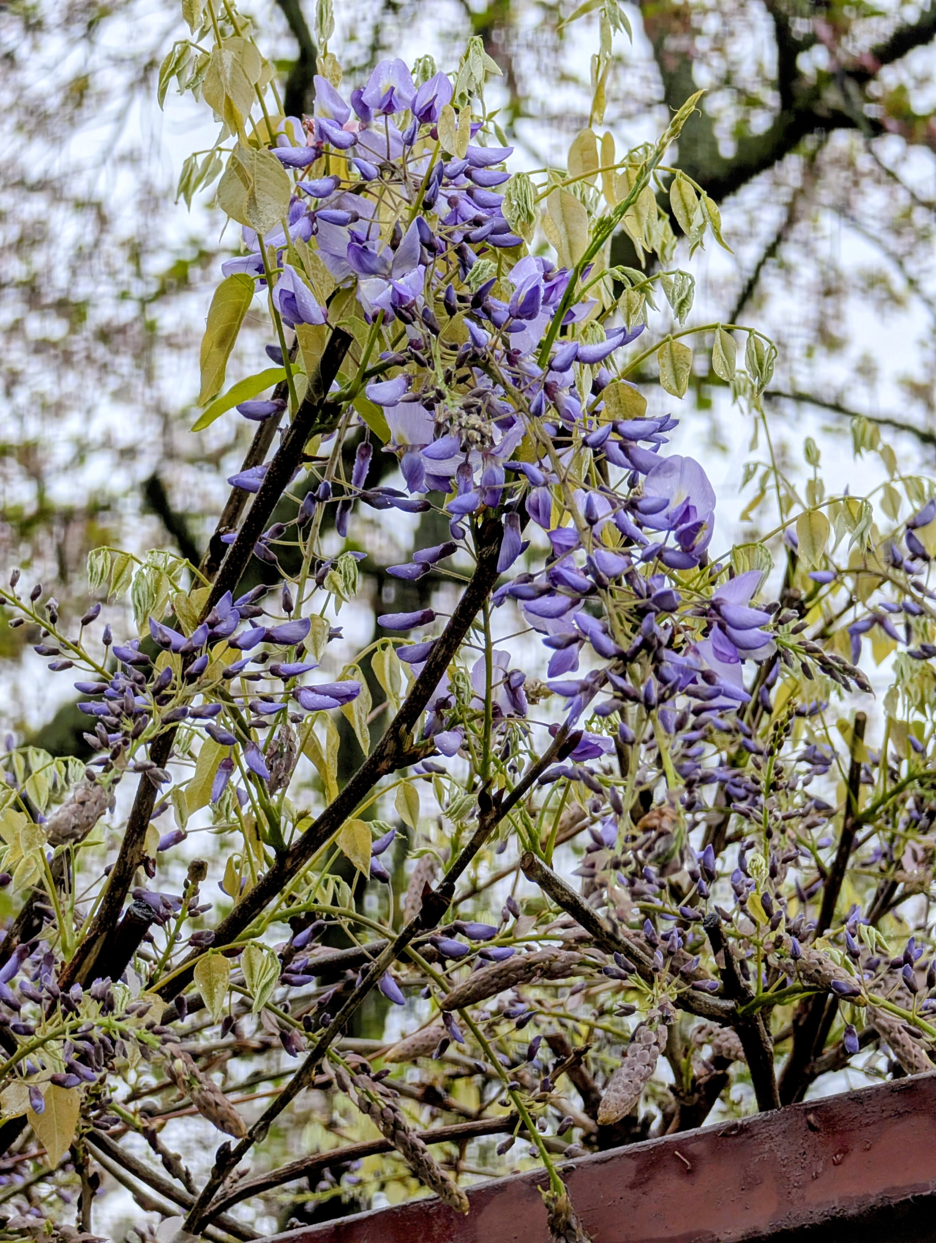 PXL_20260410_002939342_2.jpg
