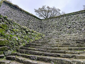 PXL_20260409_235952630_2.jpg