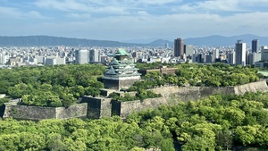 IMG_6487.jpeg