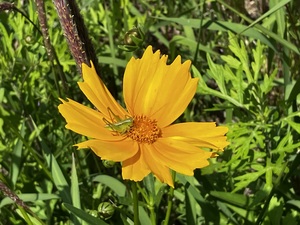 IMG_7612.jpeg