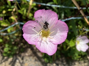 IMG_7748.jpeg